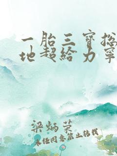 一胎三宝总裁爹地超给力宁晚晚