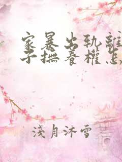 家暴出轨离婚孩子抚养权怎么争取