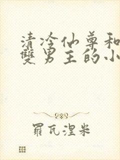 清冷仙尊和魔尊双男主的小说