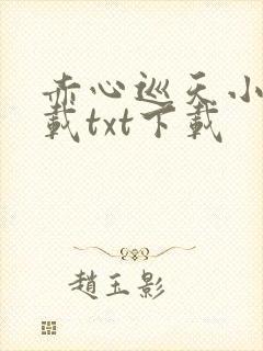 赤心巡天小说下载txt下载