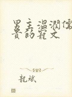 男主温润儒雅矜贵的宠文