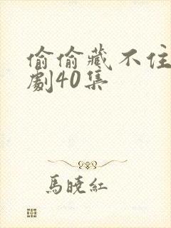 偷偷藏不住电视剧40集