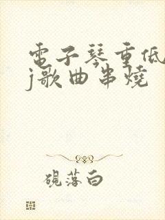 电子琴重低音dj歌曲串烧