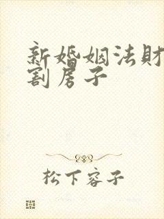 新婚姻法财产分割房子