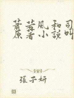 萧若风和司徒雪原著小说叫什么名字