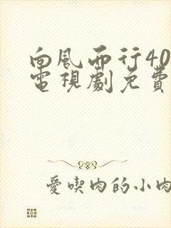 向风而行40集电视剧免费看全集