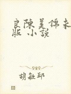 良陈美锦未删减版 小说