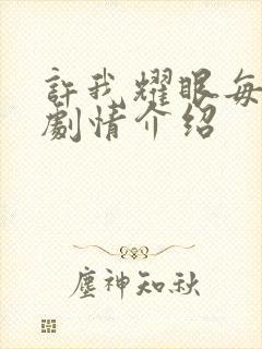 许我耀眼每一集剧情介绍