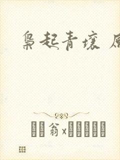 枭起青壤 原著
