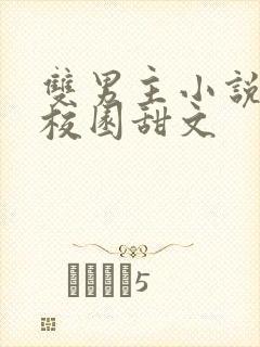 双男主小说推荐校园甜文