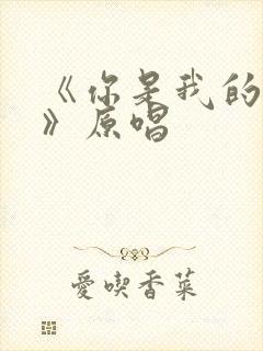 《你是我的朋友》原唱