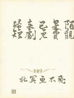 归来已是陌路人短剧免费观看全集高清