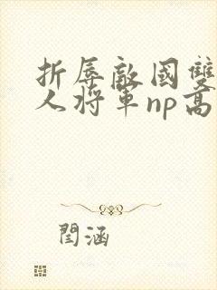 折辱敌国双性美人将军np高h