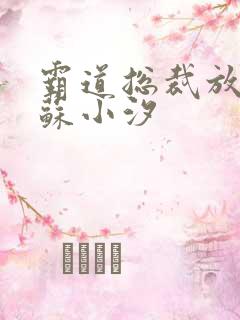 霸道总裁放肆爱苏小汐