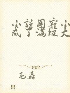 小说团宠小可爱成了满级大佬