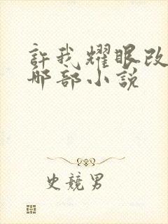 许我耀眼改编自哪部小说