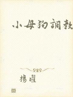 小母狗调教黄色