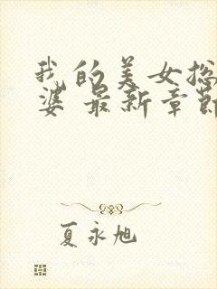 我的美女总裁老婆 最新章节 无弹窗