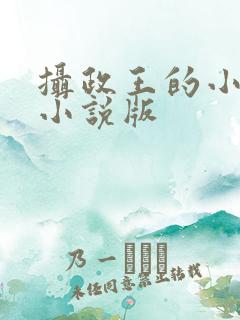摄政王的小闲妻小说版