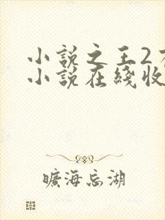 小说之王2有声小说在线收听