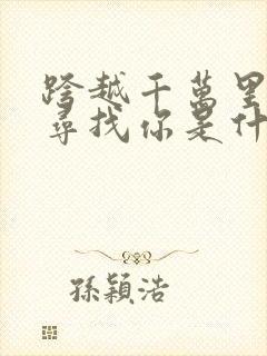 跨越千万里只为寻找你是什么歌