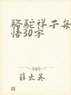 骆驼祥子每章感悟30字