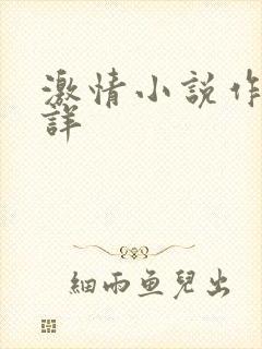 激情小说作者不详