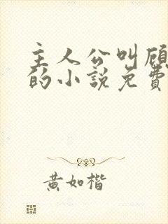 主人公叫顾北弦的小说免费阅读