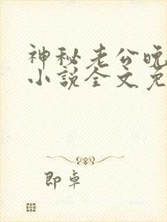 神秘老公晚上见小说全文免费阅读