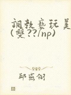 调教亵玩美人受(双??/np)