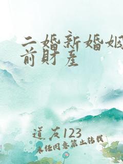 二婚新婚姻法婚前财产