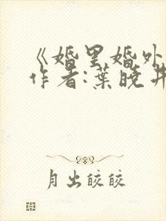 《婚里婚外》 作者:叶晓井