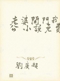 老婆开门我是老公 小说免费阅读