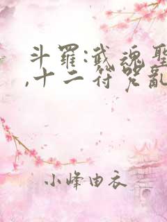 斗罗:武魂圣主,十二符咒乱大陆