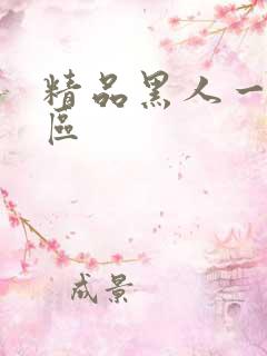 精品黑人一区三区