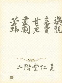 苦尽甘来遇见你韩剧免费观看在线