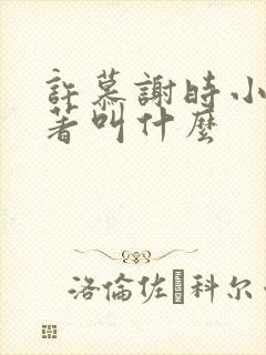 许慕谢时小说原著叫什么