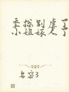 季总别虐了,舒小姐嫁人了20集