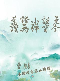 叶锋小说免费阅读无弹窗全文