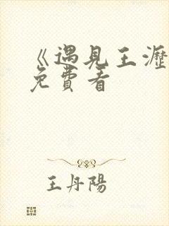 《遇见王沥川》免费看