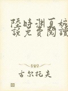 陆时渊夏婉婷小说免费阅读最新章节