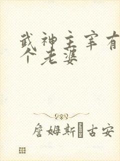 武神主宰有多少个老婆