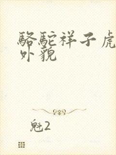 骆驼祥子虎妞的外貌