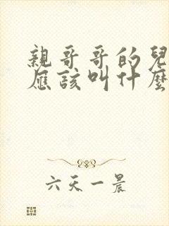 亲哥哥的儿子我应该叫什么