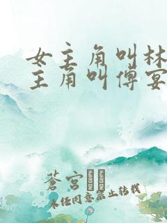 女主角叫林婉男主角叫傅宴的小说