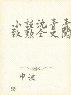 小说沈青青,江致勋全文阅读