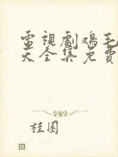 电视剧鸡毛飞上天全集免费播放高清