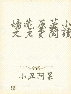 娇藏原著小说全文免费阅读