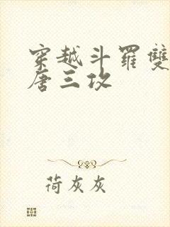 穿越斗罗双男主唐三攻