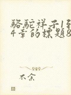 骆驼祥子1到24章的标题8字